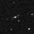 2019zny_image