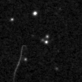 2019zob_image