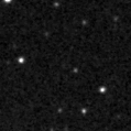 2019zoc_image