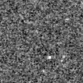 2019zok_image