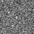 2019zov_image