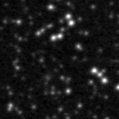 2019zpz_image