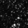 2019zqw_image
