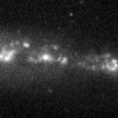 2020aaa_image