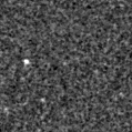 2020aaab_image