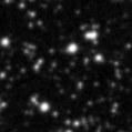 2020aaef_image