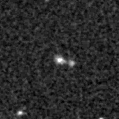 2020aaha_image