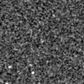 2020aaii_image