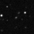 2020aalg_image