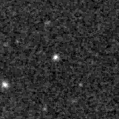 2020aamb_image