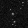 2020aaml_image