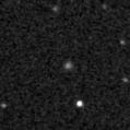 2020aamr_image