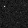 2020aamt_image