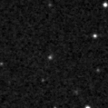 2020aanr_image
