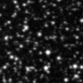 2020aapn_image