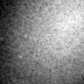 2020aarv_image