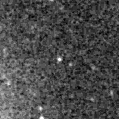 2020aasl_image