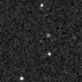 2020aaum_image