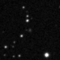2020aawm_image