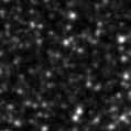 2020aayc_image
