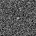 2020abbw_image
