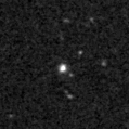 2020abfs_image