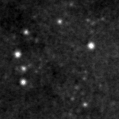 2020abrv_image