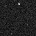 2020absd_image