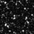 2020acbh_image