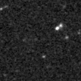 2020accf_image