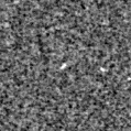 2020aceo_image