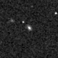 2020acfc_image