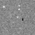2020acfl_image