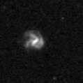 2020acfp_image