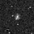 2020aclf_image