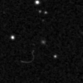 2020acmv_image