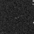 2020acng_image