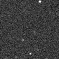 2020acnm_image
