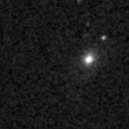 2020acoo_image
