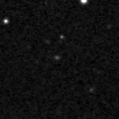 2020acpo_image