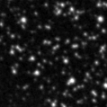 2020acu_image
