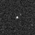 2020adap_image