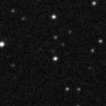 2020adhb_image