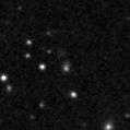 2020adlm_image
