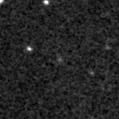 2020adnc_image