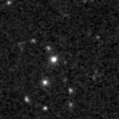 2020adni_image