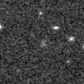 2020adox_image
