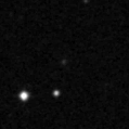 2020adpt_image