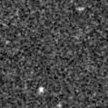 2020adsz_image