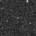 2020adug_image